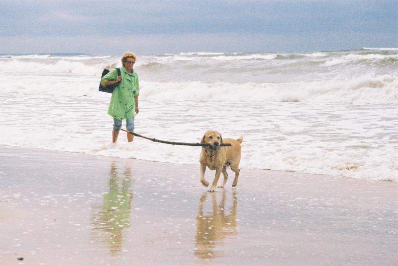 wakacje z psem nad morzem